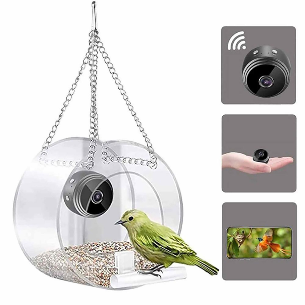 Smart Bird Feeder Camera - Comedero para pájaros con cámara de