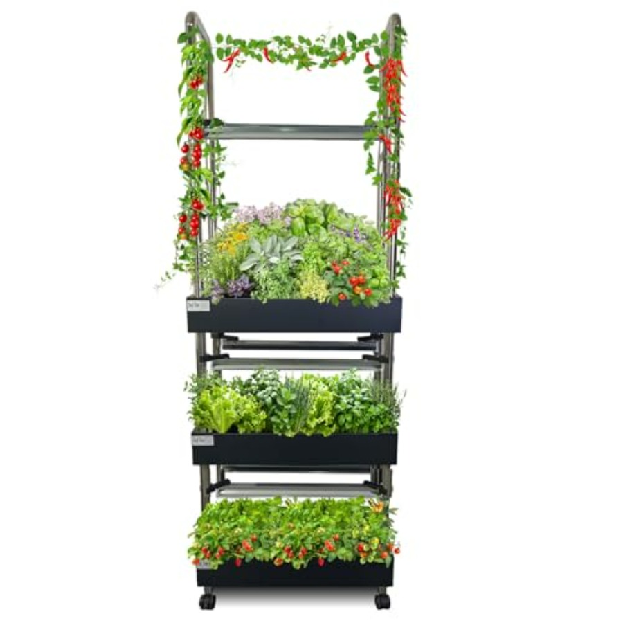 Smart Garden Light - Sistema de cultivo hidropónico interior: jardín
