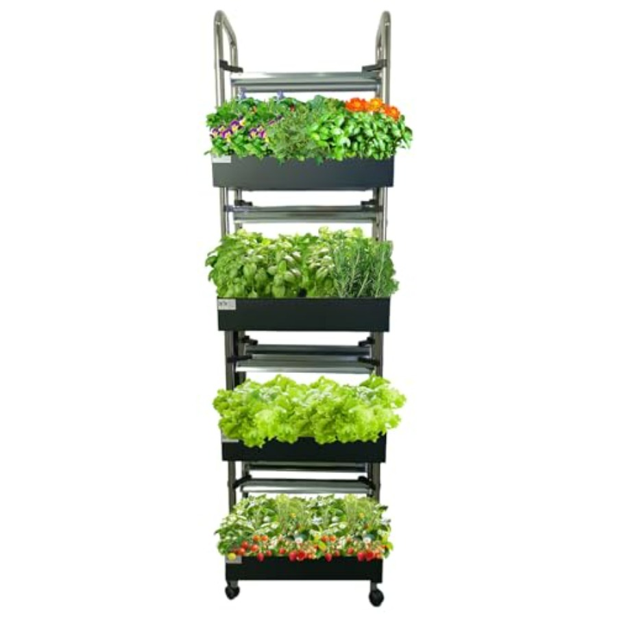 Smart Garden Light - Sistema de cultivo hidropónico interior: jardín