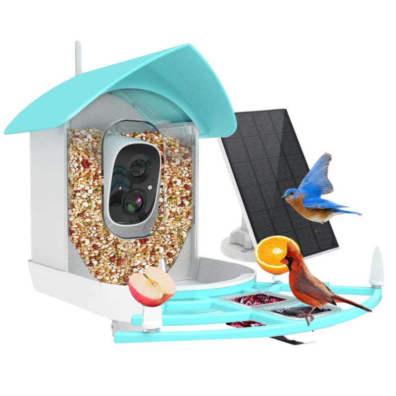 Smart Bird Feeder Camera - Comedero inteligente para pájaros, cámara interior