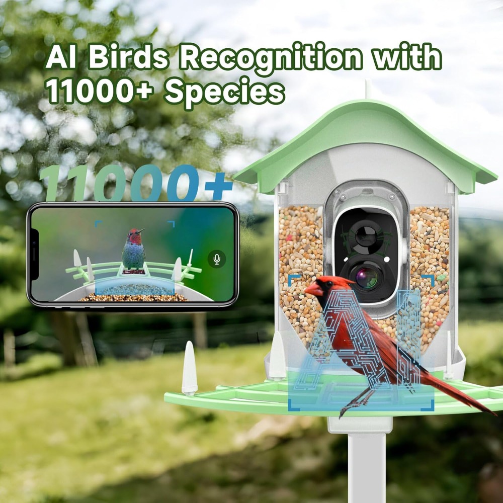 Comedero inteligente para pája - Smart Bird Feeder Camera reseña y precio