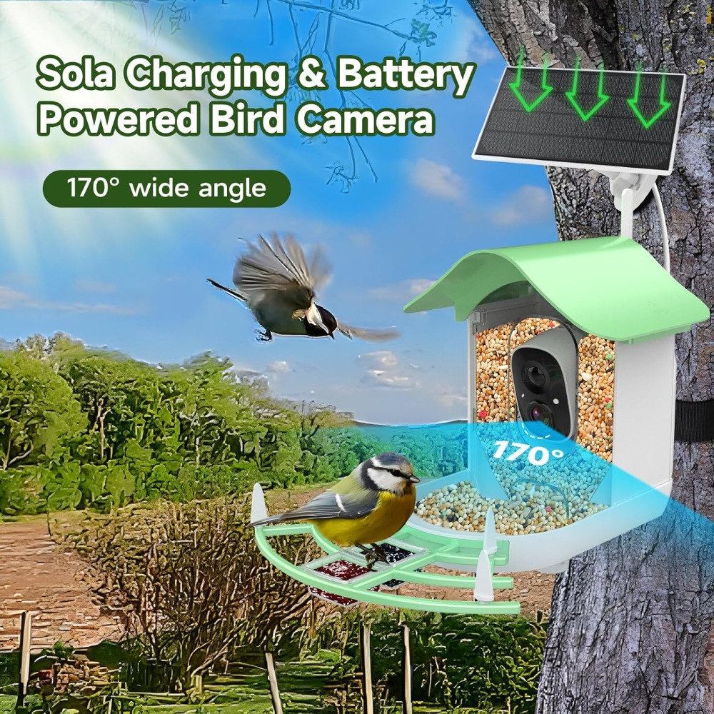 Comedero inteligente para pája - Smart Bird Feeder Camera reseña y precio