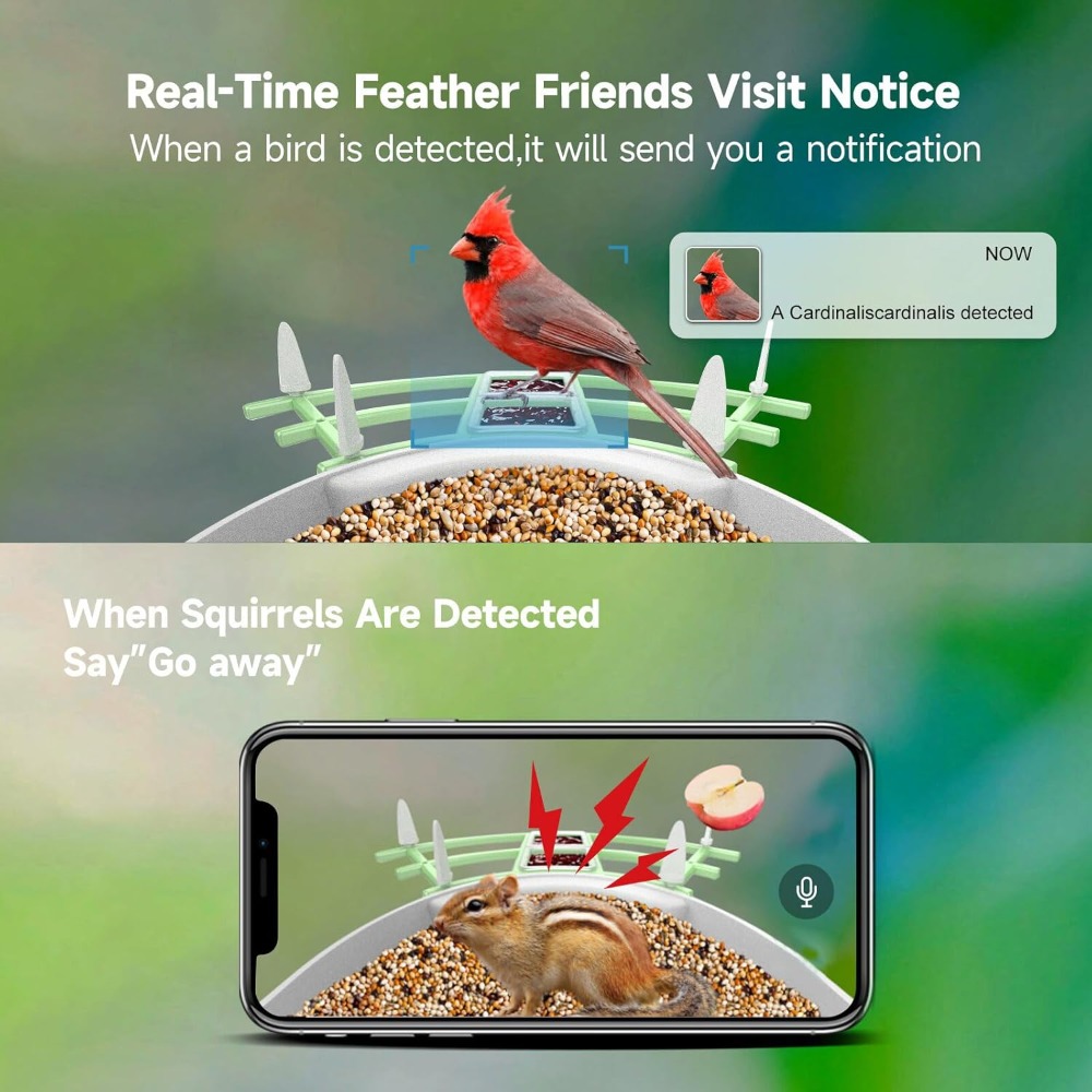 Comedero inteligente para pája - Smart Bird Feeder Camera reseña y precio