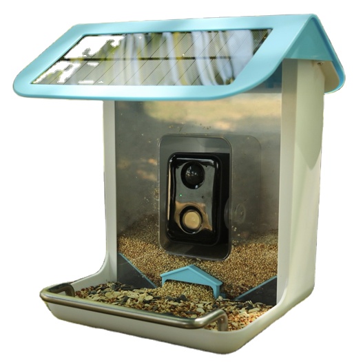Cámara Wifi para Fauna Silvest - Smart Bird Feeder Camera reseña y precio