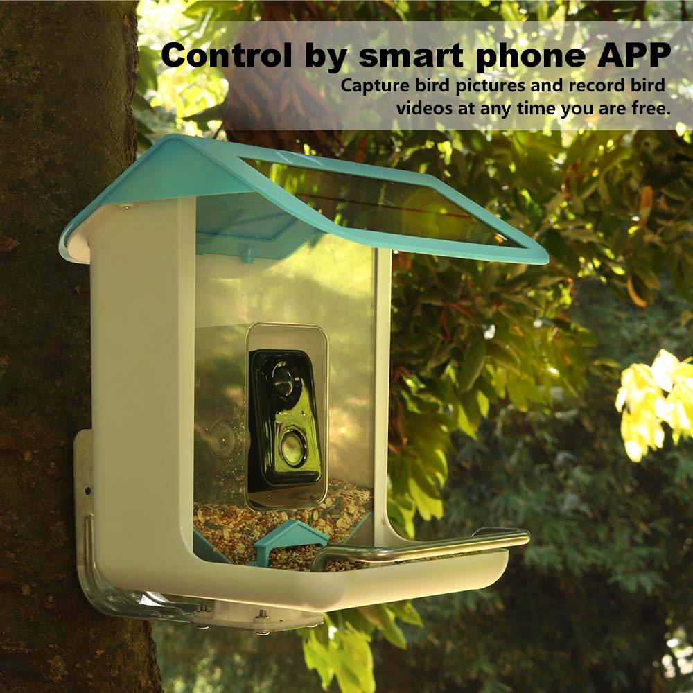 Cámara Wifi para Fauna Silvest - Smart Bird Feeder Camera reseña y precio