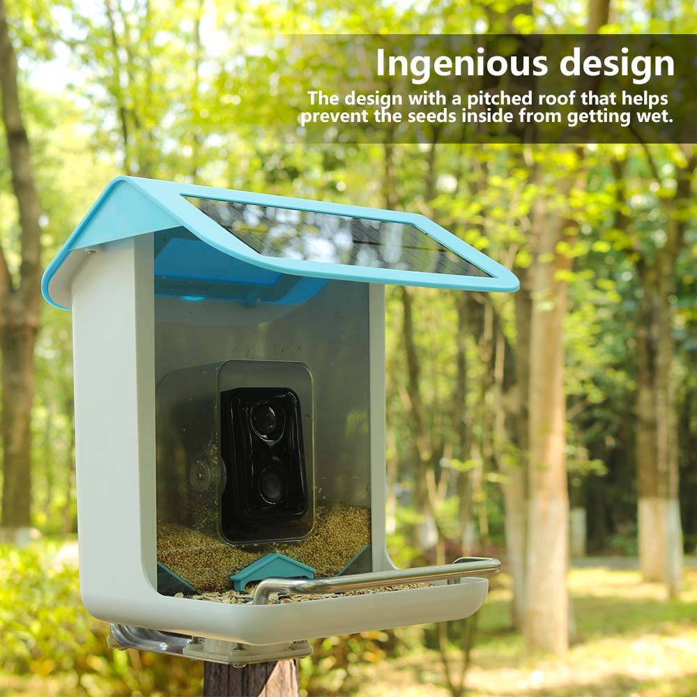 Cámara Wifi para Fauna Silvest - Smart Bird Feeder Camera reseña y precio