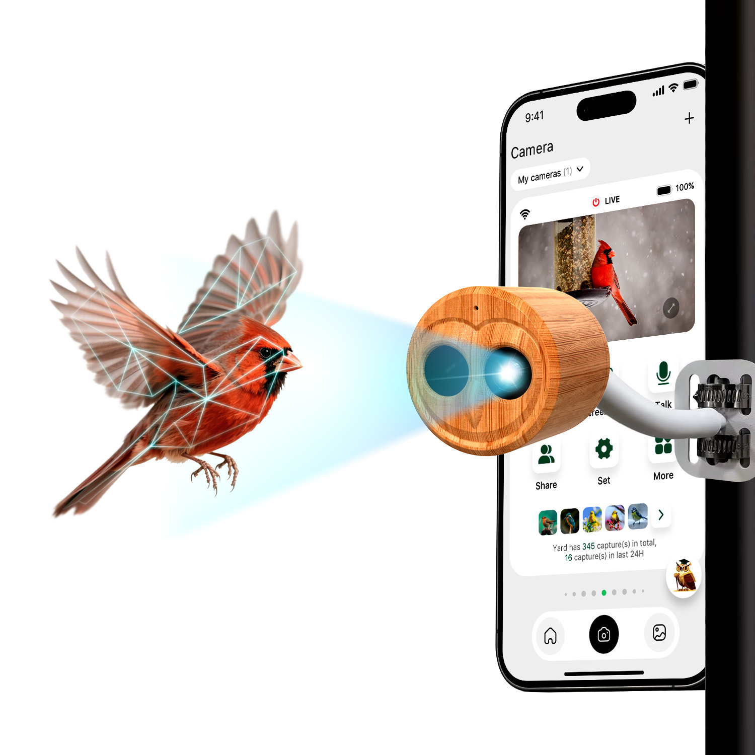 Comedero Inteligente para Pája - Smart Bird Feeder Camera reseña y precio