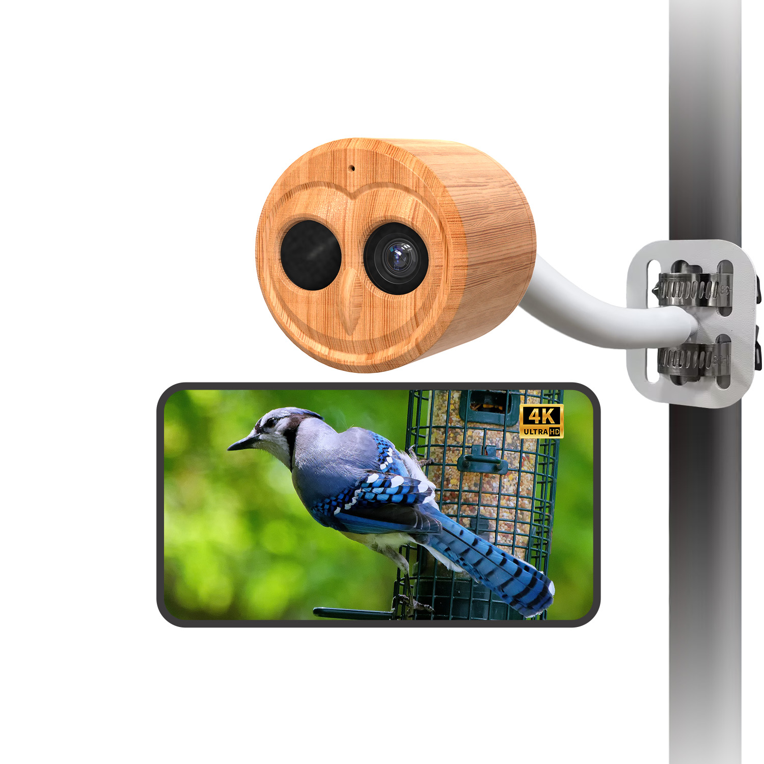Comedero Inteligente para Pája - Smart Bird Feeder Camera reseña y precio