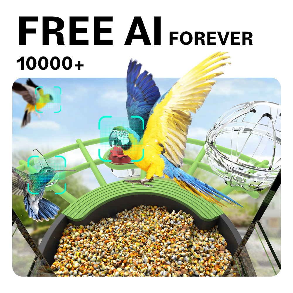 Comedero para Pájaros Silvestr - Smart Bird Feeder Camera reseña y precio