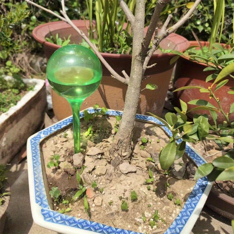 6 Bolas de Riego Automático pa - Smart Garden Herb reseña y precio
