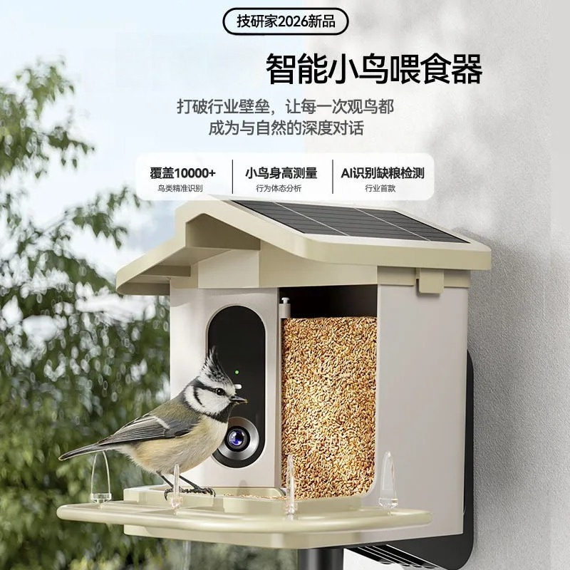 Comedero Inteligente para Pája - Smart Bird Feeder Camera reseña y precio