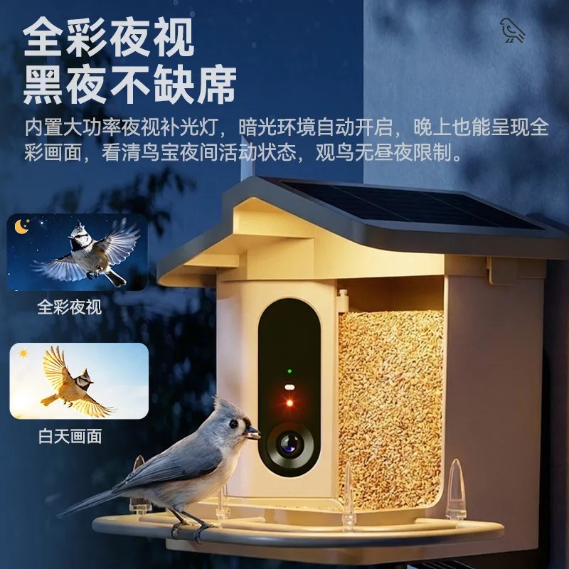 Comedero Inteligente para Pája - Smart Bird Feeder Camera reseña y precio