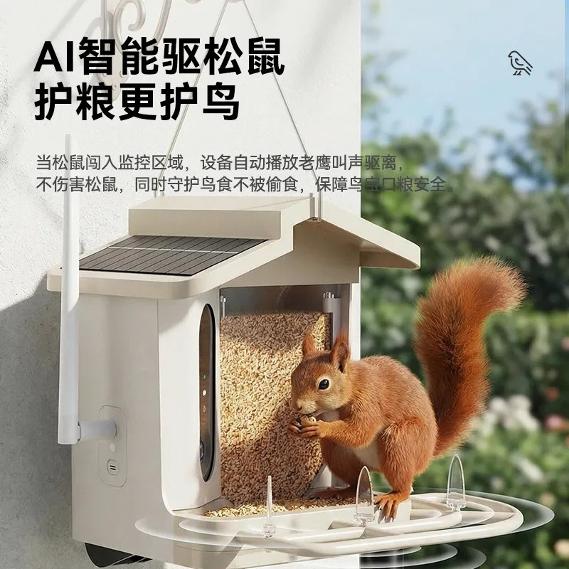 Comedero Inteligente para Pája - Smart Bird Feeder Camera reseña y precio
