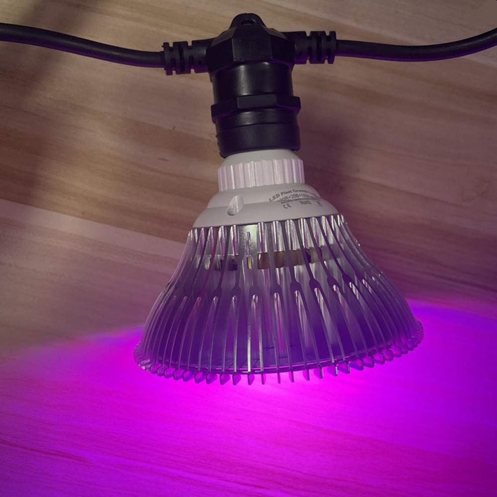 Cadena de luces LED de 10M, re - Smart Garden Light reseña y precio