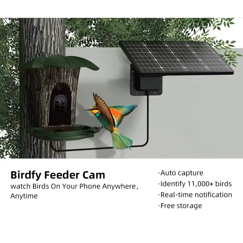 Comedero Inteligente para Pája - Smart Bird Feeder Camera reseña y precio