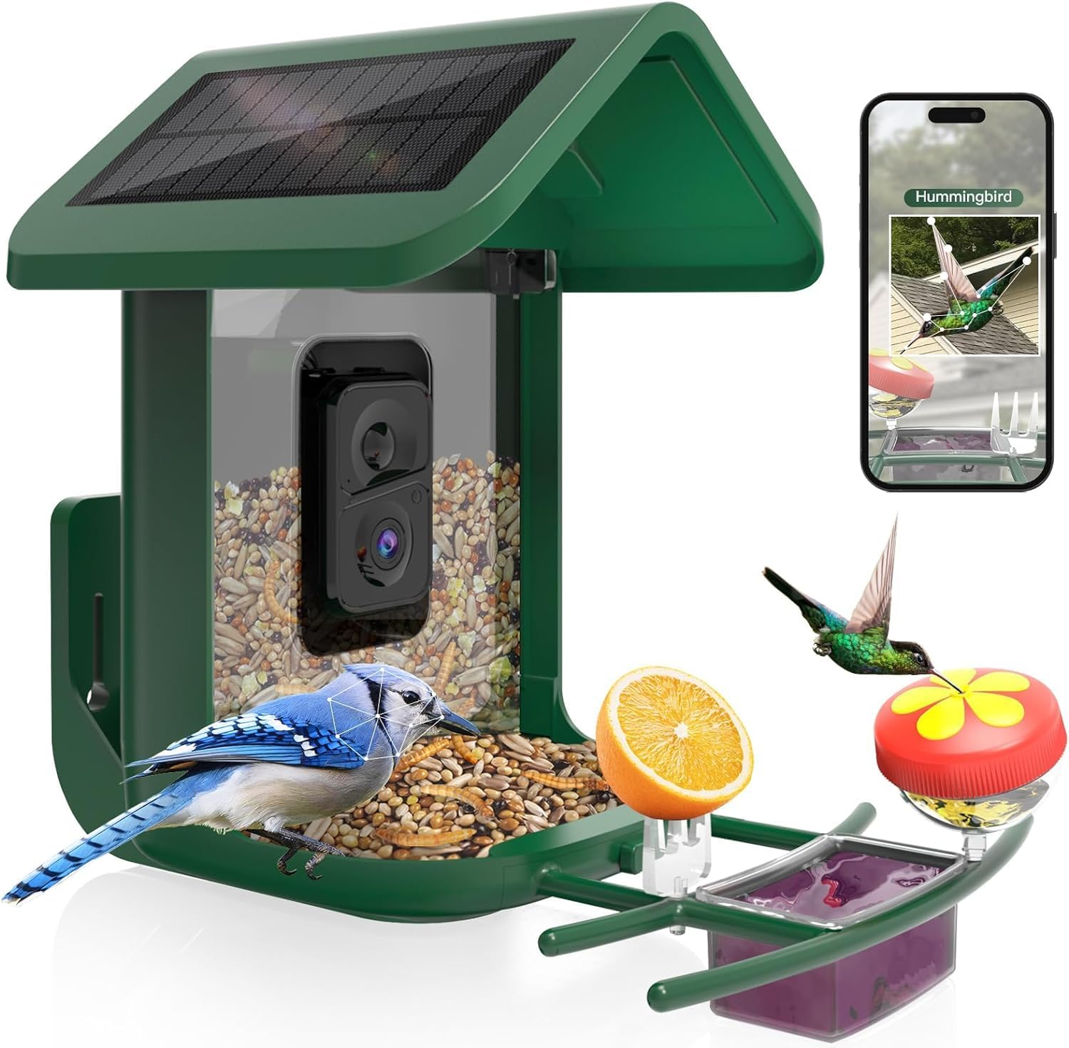 Comedero inteligente para pája - Smart Bird Feeder Camera reseña y precio