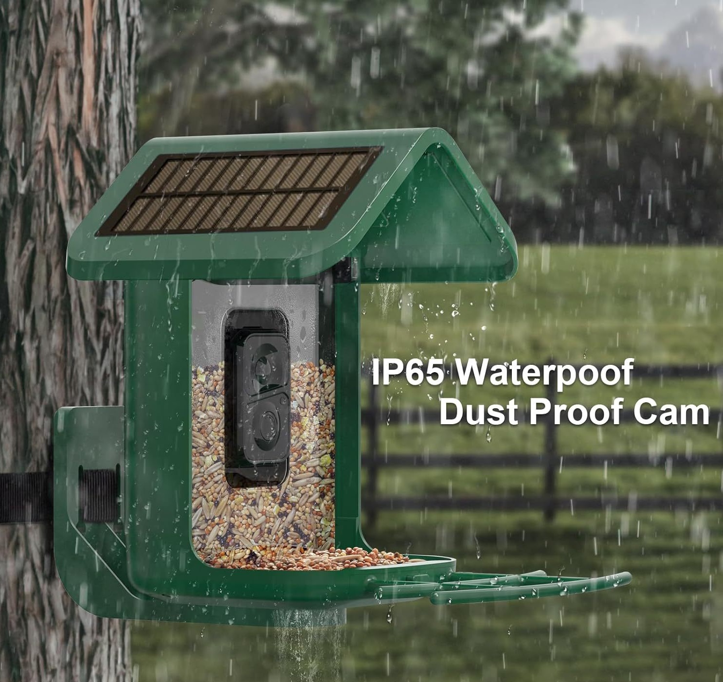 Comedero inteligente para pája - Smart Bird Feeder Camera reseña y precio
