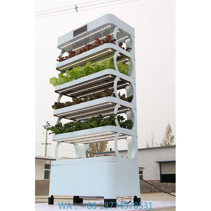 Arming Home Sistemas de cultiv - Smart Garden System reseña y precio