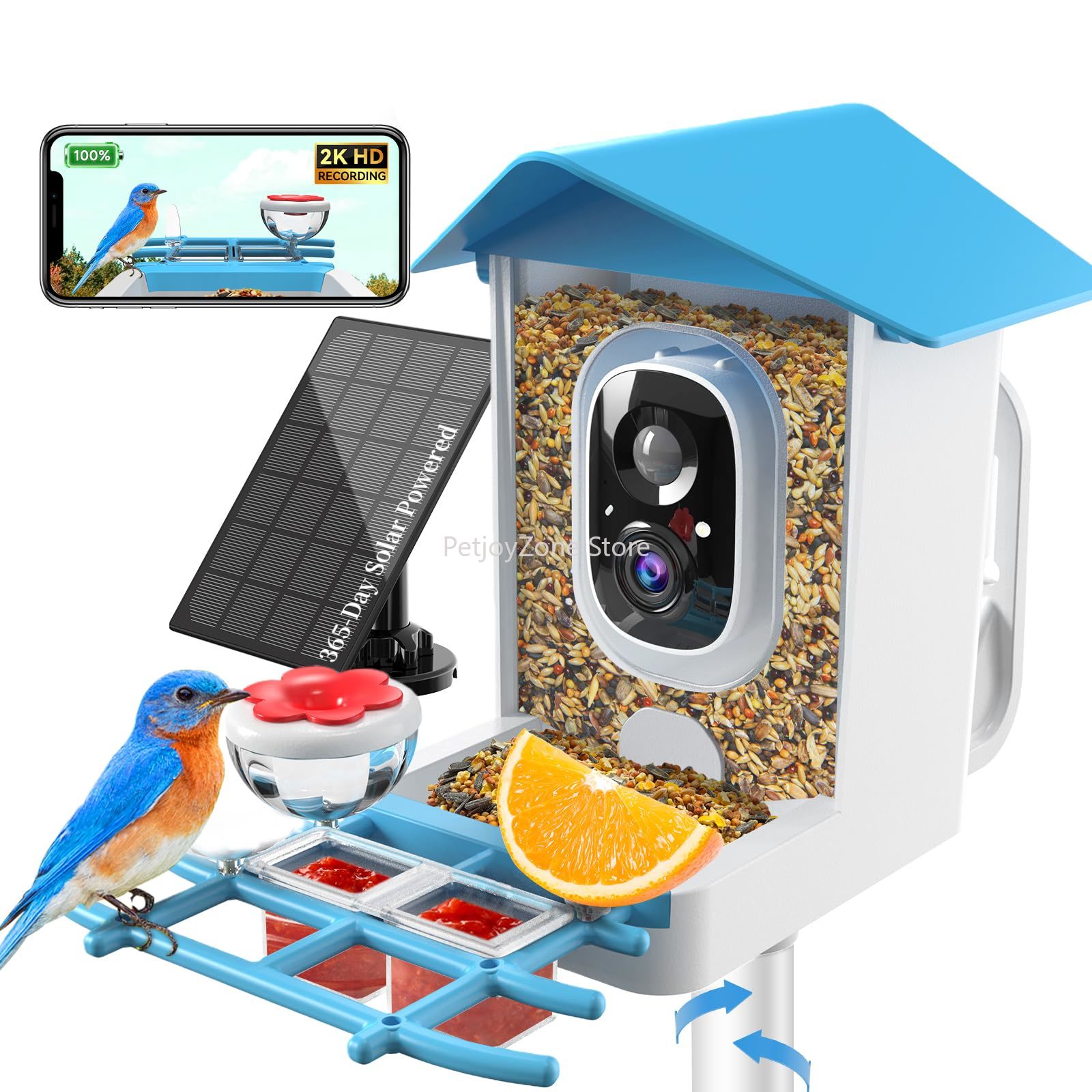 Comedero Inteligente para Pája - Smart Bird Feeder Camera reseña y precio