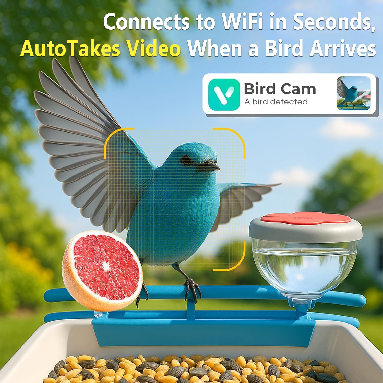 Comedero Inteligente para Pája - Smart Bird Feeder Camera reseña y precio