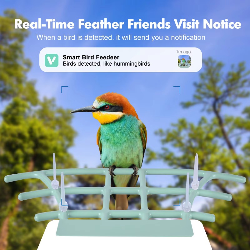 Comedero inteligente para pája - Smart Bird Feeder Camera reseña y precio