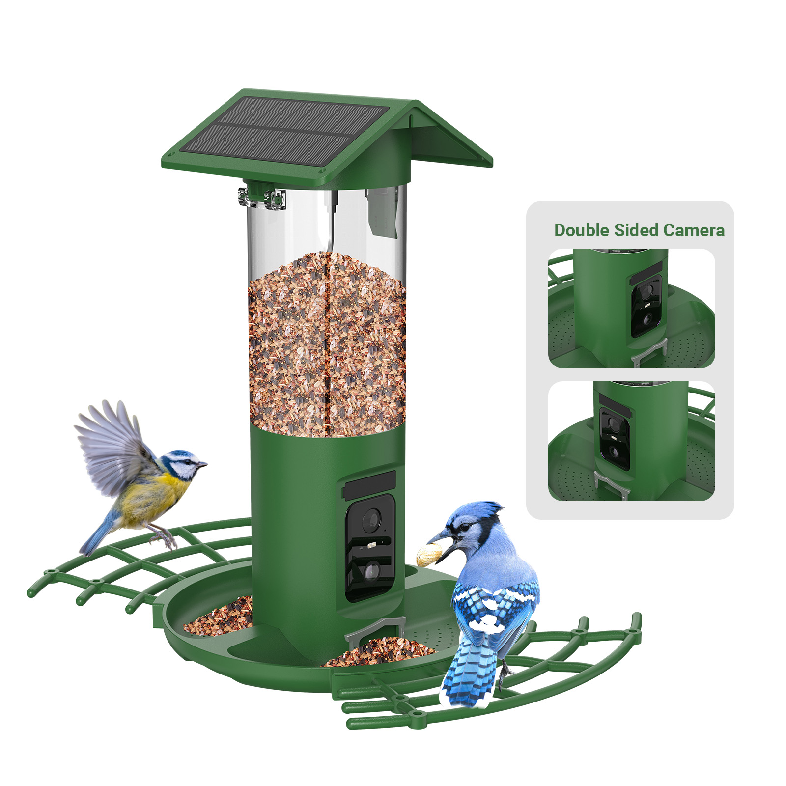 Comedero Inteligente para Pája - Smart Bird Feeder Camera reseña y precio