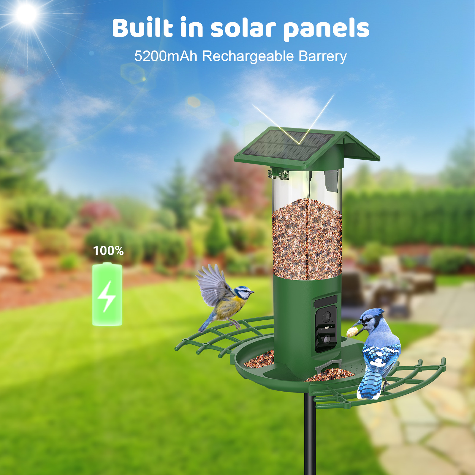 Comedero Inteligente para Pája - Smart Bird Feeder Camera reseña y precio