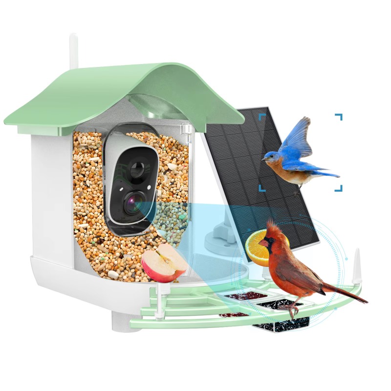 Cámara de captura automática d - Smart Bird Feeder Camera reseña y precio
