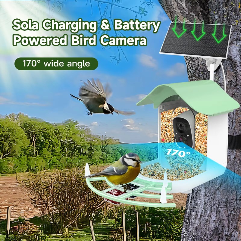 Cámara de captura automática d - Smart Bird Feeder Camera reseña y precio