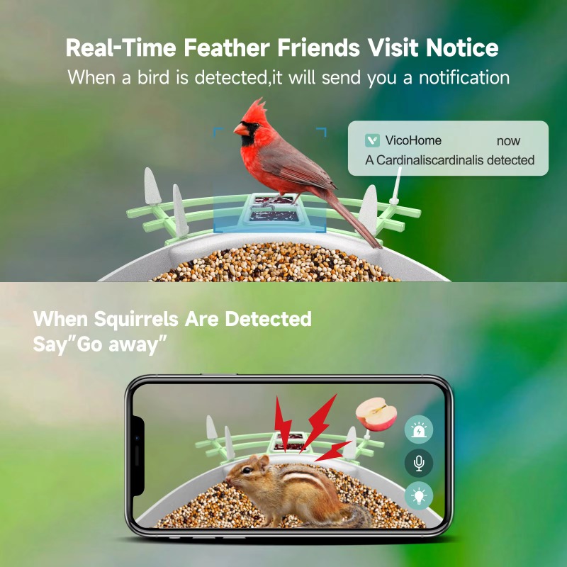 Cámara de captura automática d - Smart Bird Feeder Camera reseña y precio