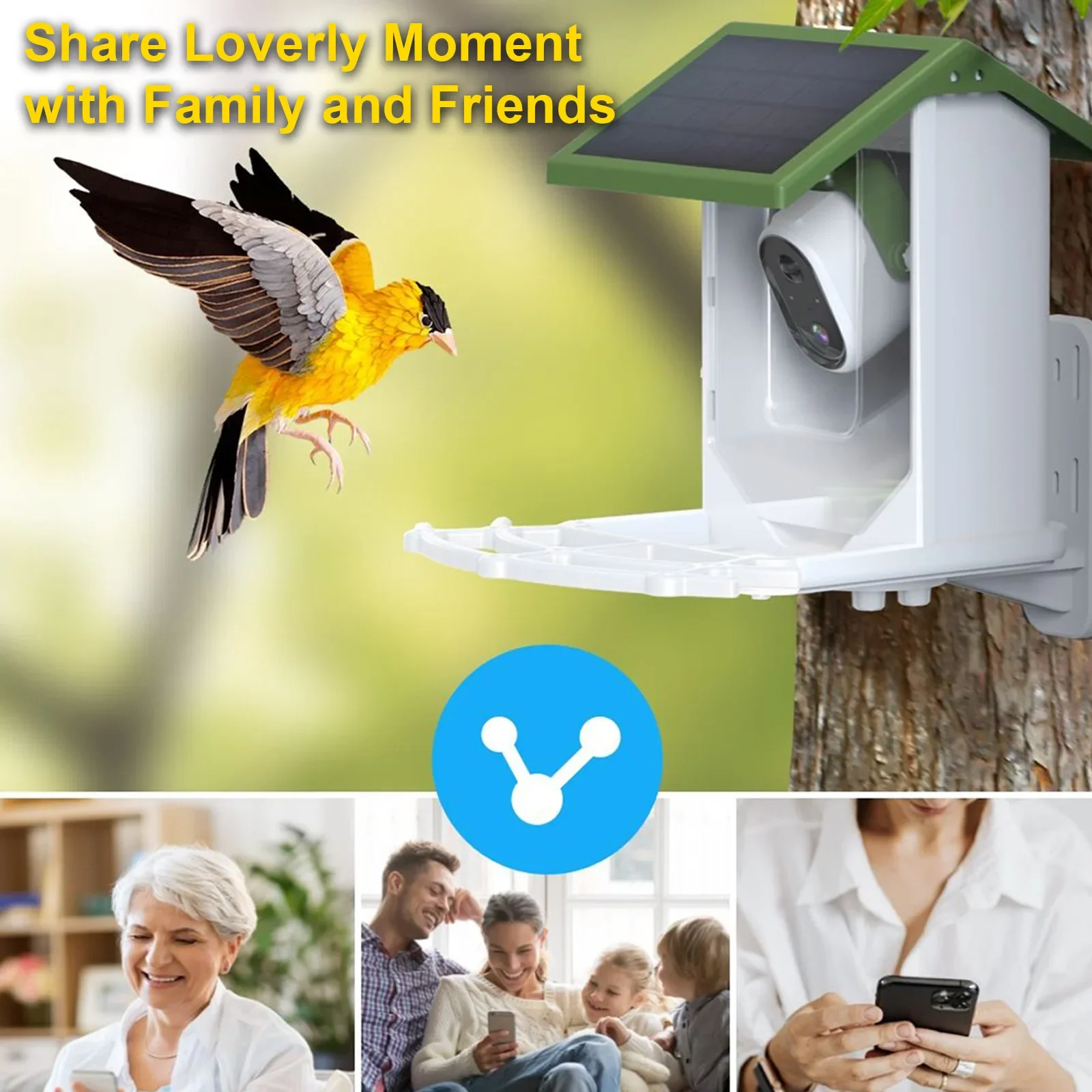Comedero para pájaros silvestr - Smart Bird Feeder Camera reseña y precio